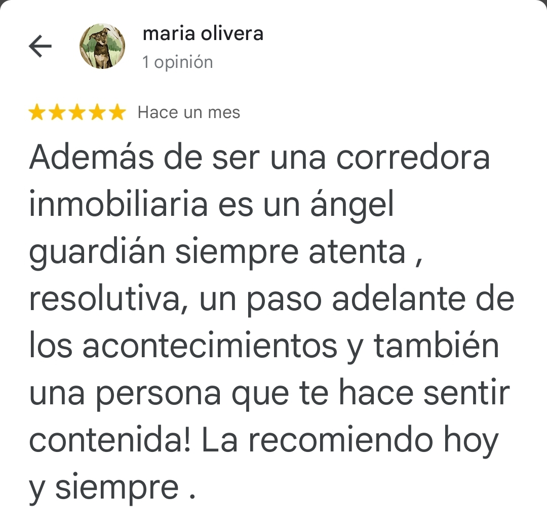 Imagen 13